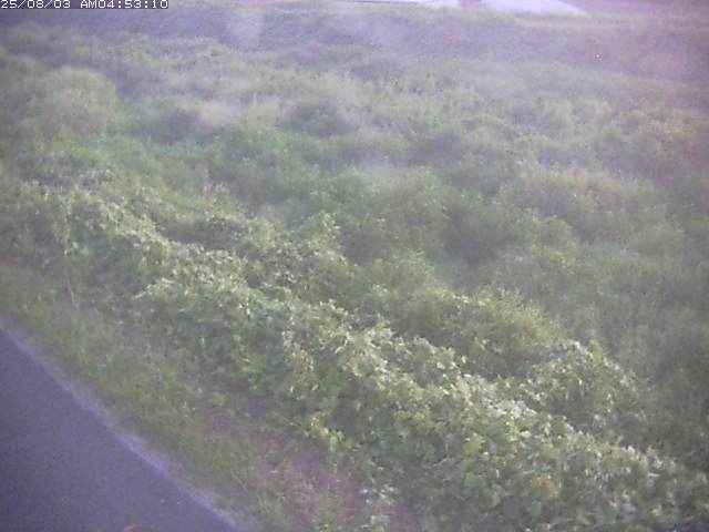 取得できませんでした