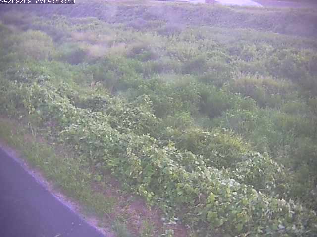 取得できませんでした
