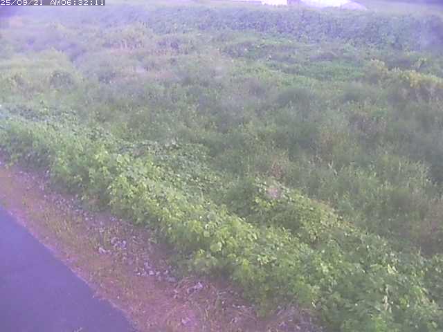 取得できませんでした