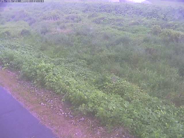取得できませんでした