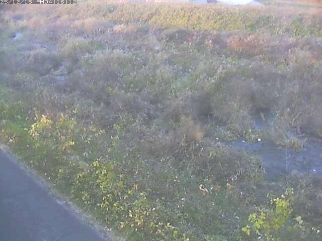 取得できませんでした