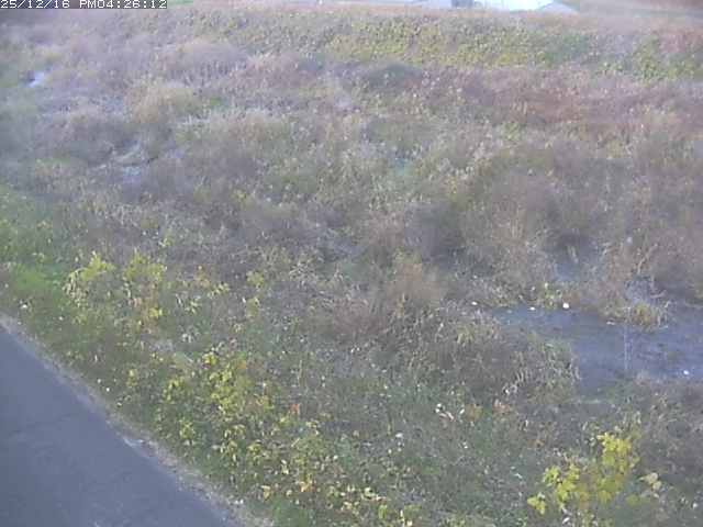 取得できませんでした