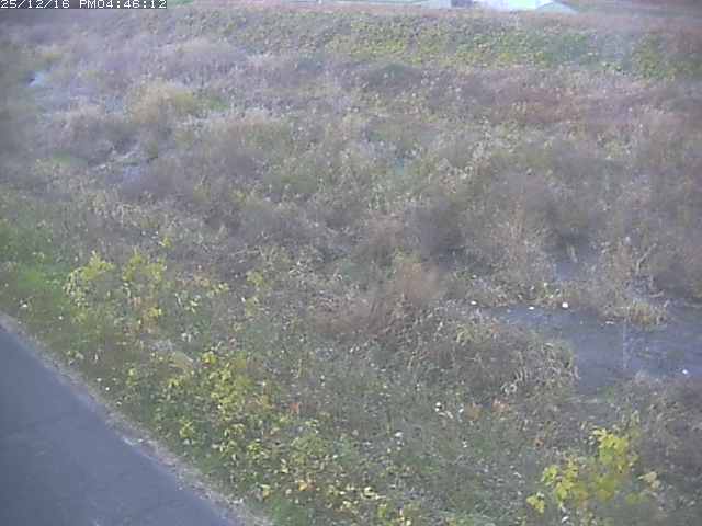 取得できませんでした