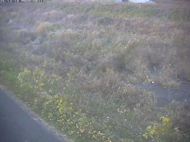 取得できませんでした