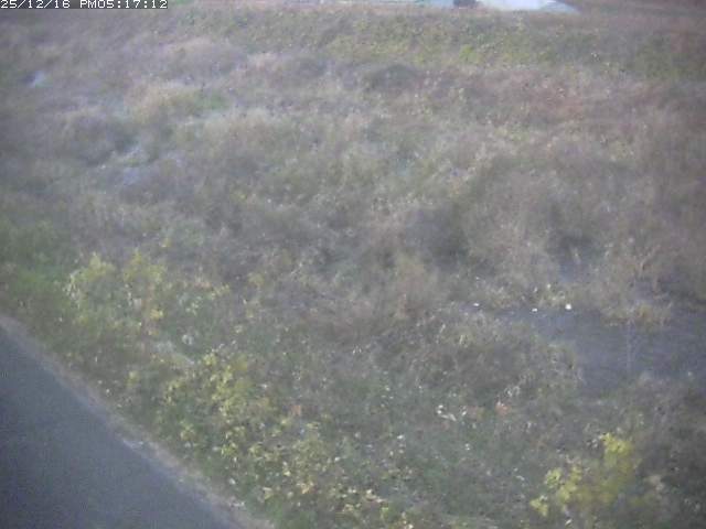 取得できませんでした