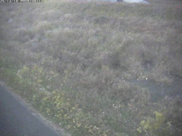 取得できませんでした