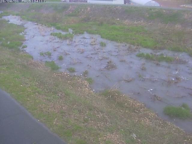 取得できませんでした