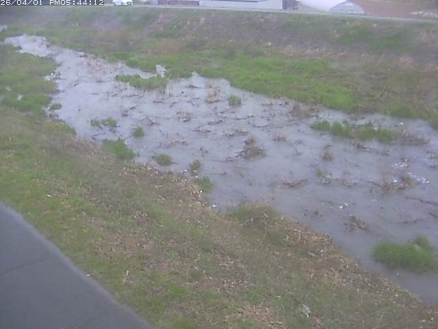 取得できませんでした