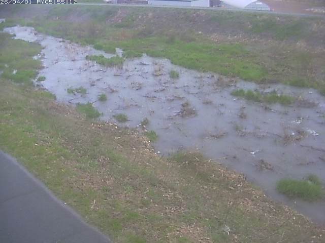 取得できませんでした