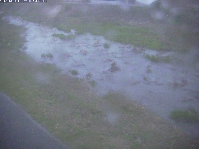 取得できませんでした