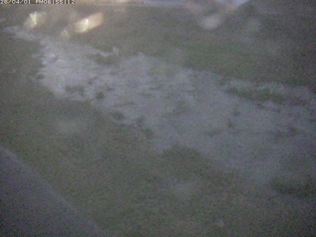 取得できませんでした