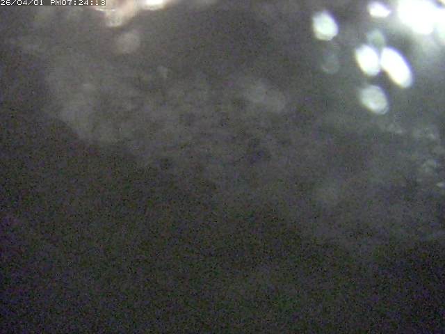 取得できませんでした