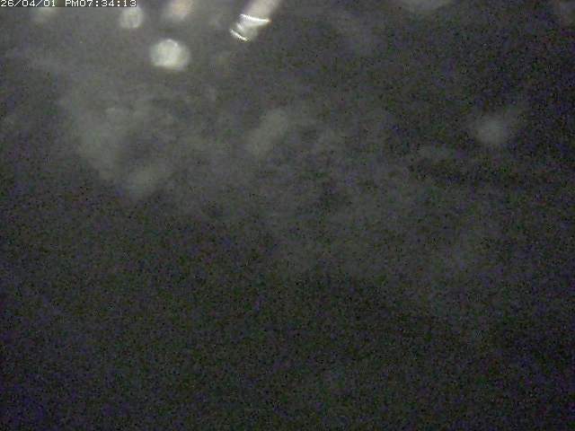 取得できませんでした