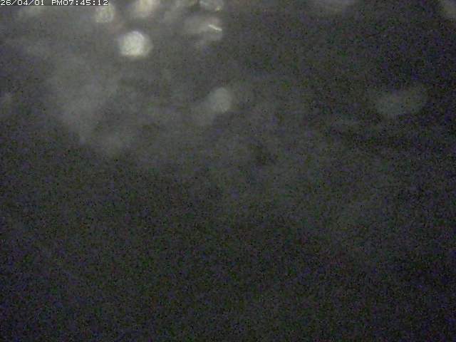 取得できませんでした