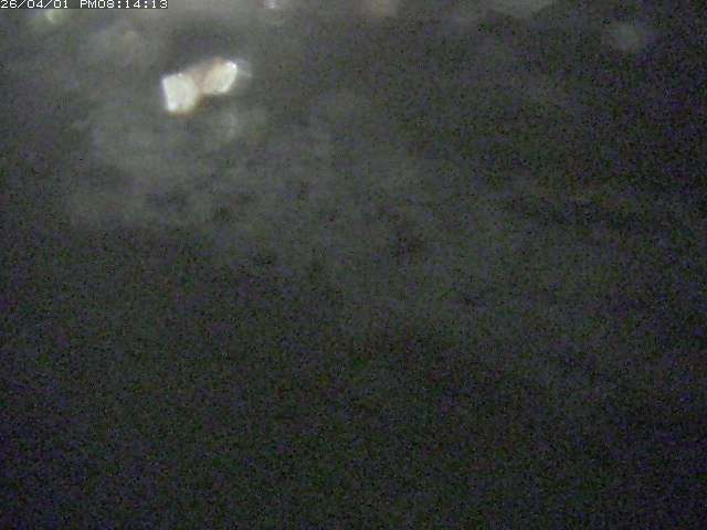 取得できませんでした