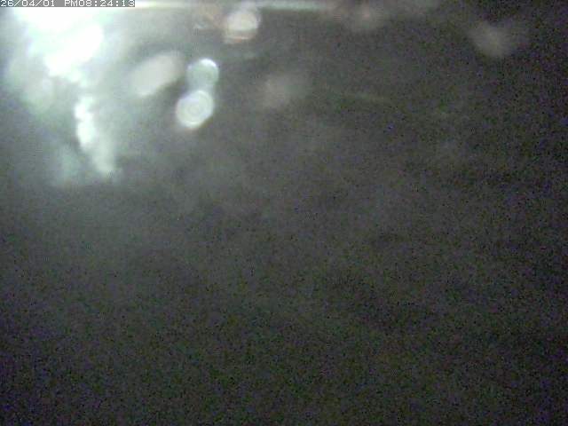 取得できませんでした