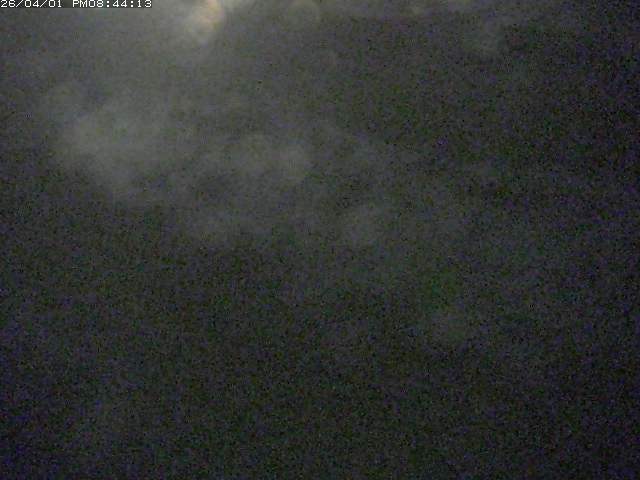 取得できませんでした