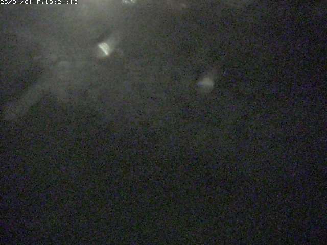 取得できませんでした