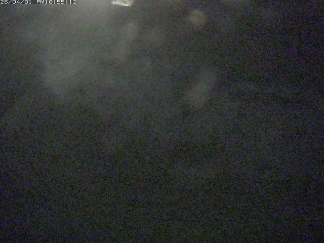 取得できませんでした