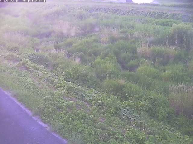 取得できませんでした