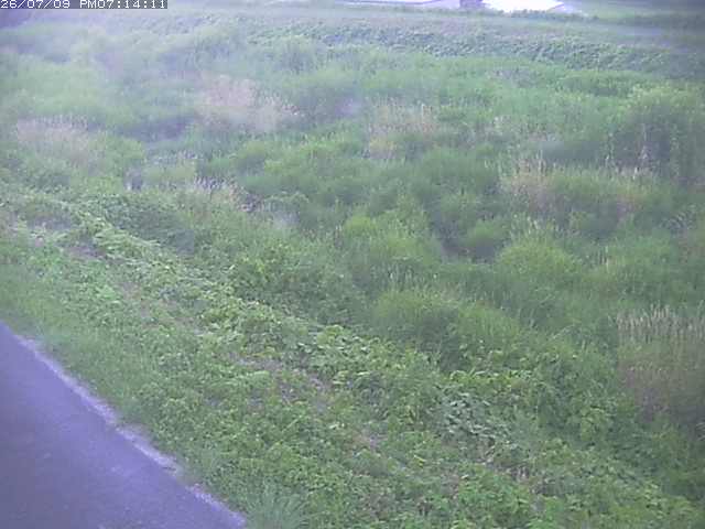 取得できませんでした