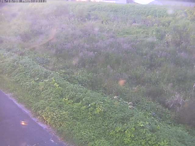 取得できませんでした