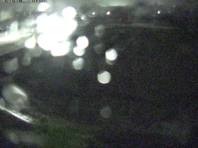 取得できませんでした