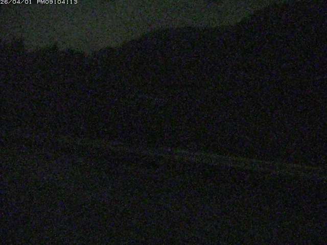 取得できませんでした