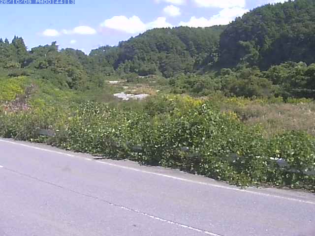 取得できませんでした