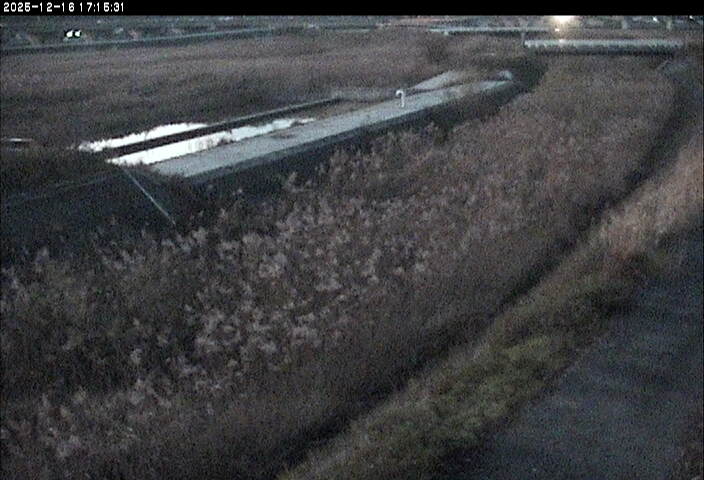 取得できませんでした