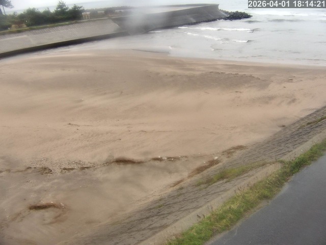 取得できませんでした