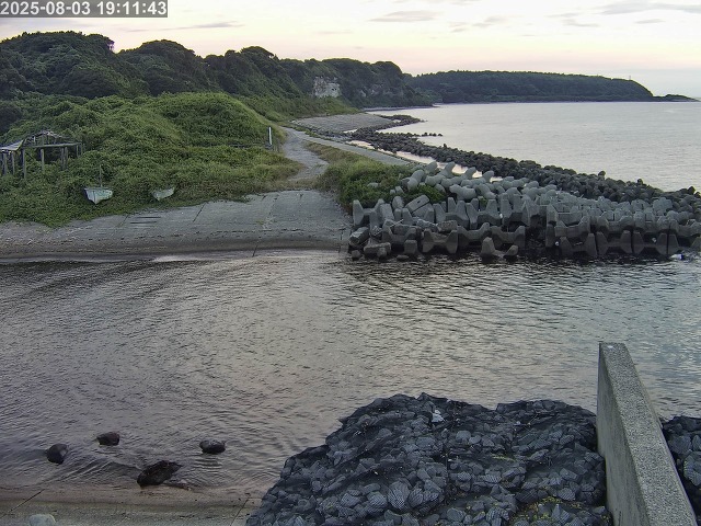 取得できませんでした