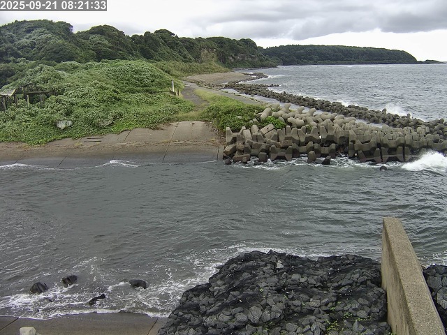 取得できませんでした
