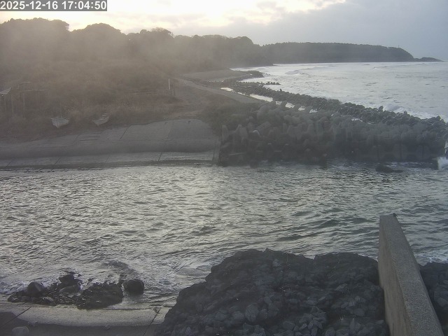 取得できませんでした