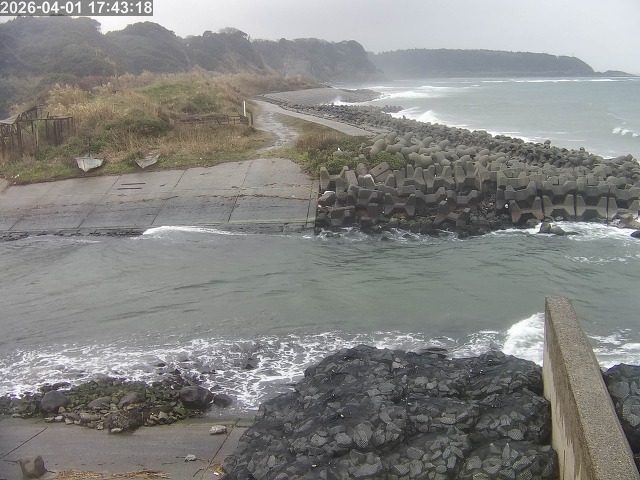 取得できませんでした