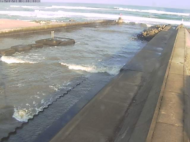 取得できませんでした