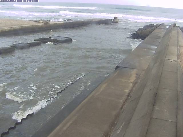 取得できませんでした