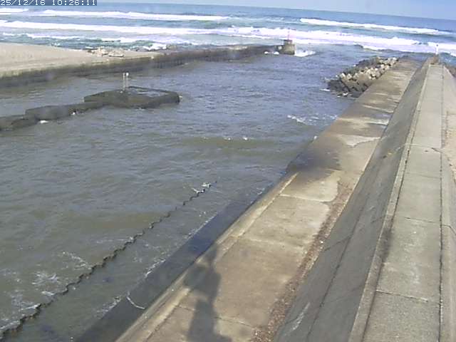 取得できませんでした