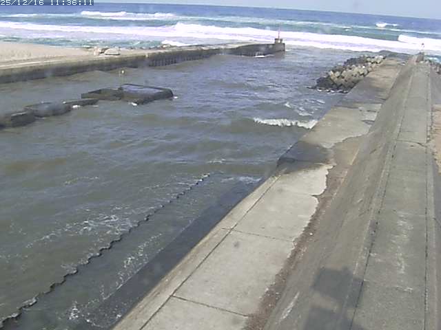 取得できませんでした