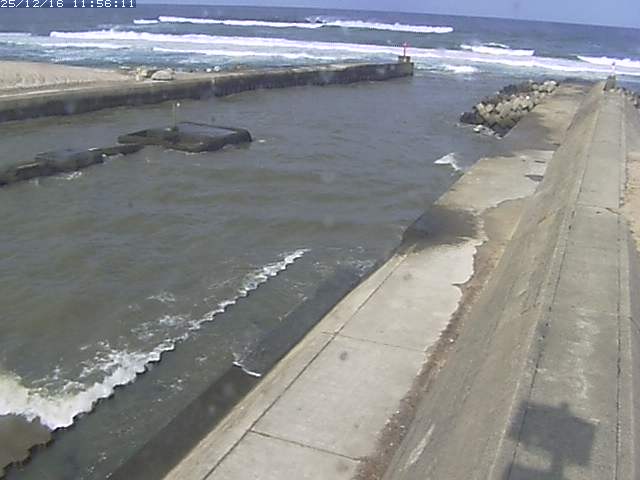 取得できませんでした