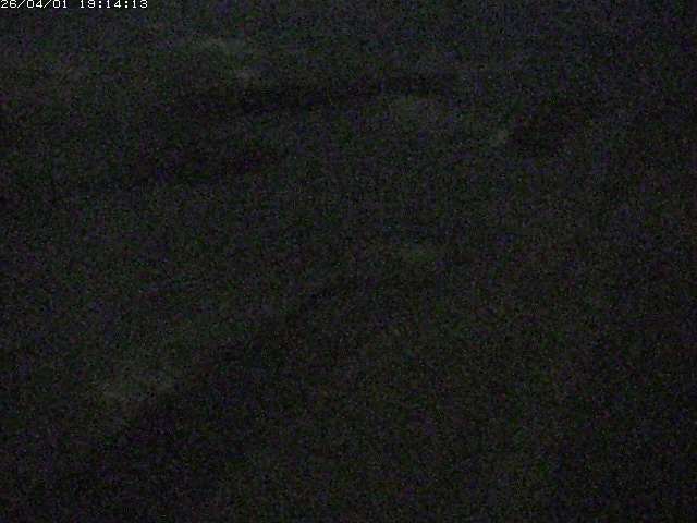 取得できませんでした