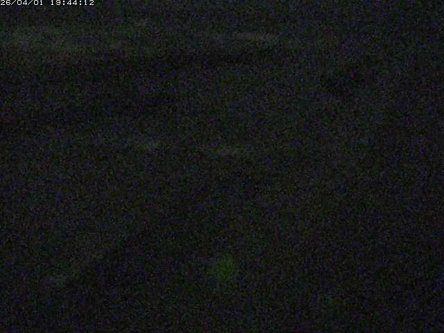 取得できませんでした