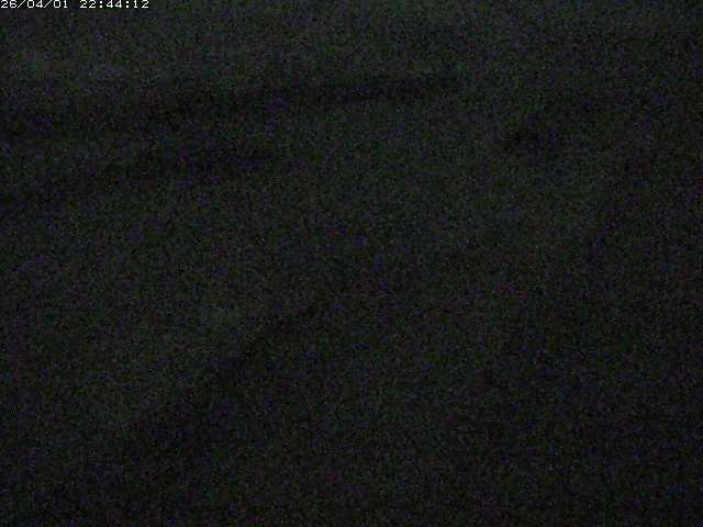 取得できませんでした