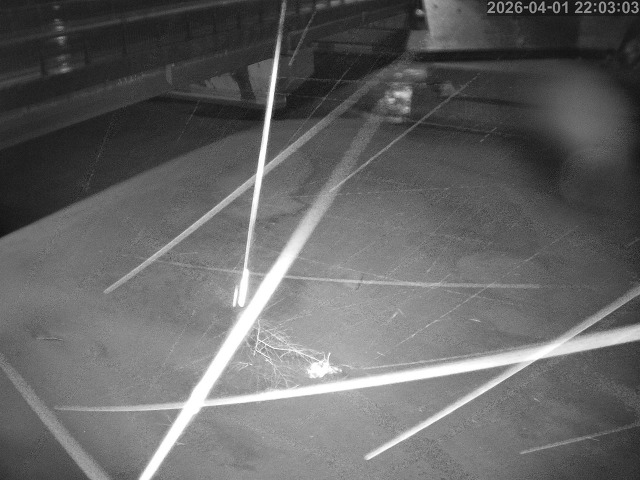 取得できませんでした