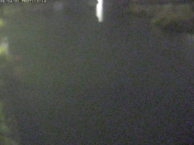 取得できませんでした