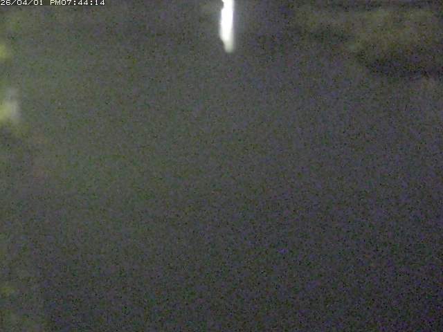 取得できませんでした