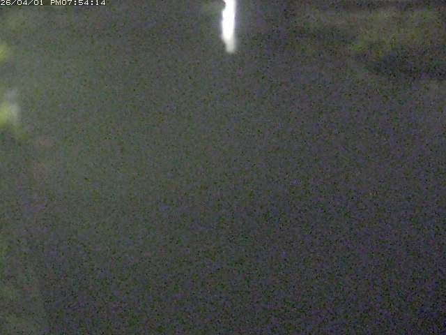 取得できませんでした