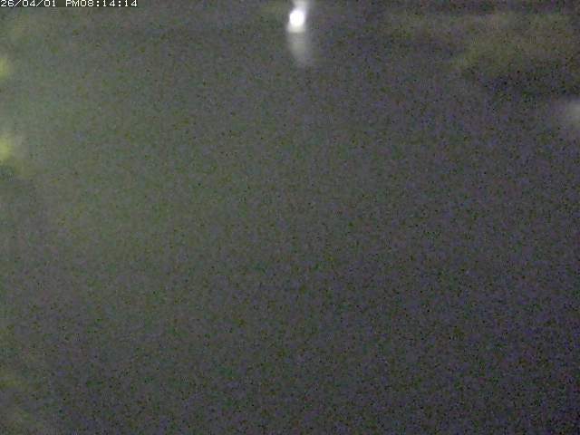 取得できませんでした