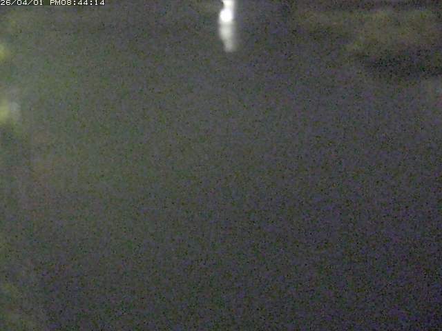 取得できませんでした