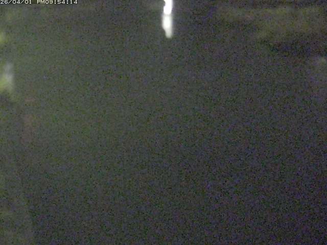 取得できませんでした